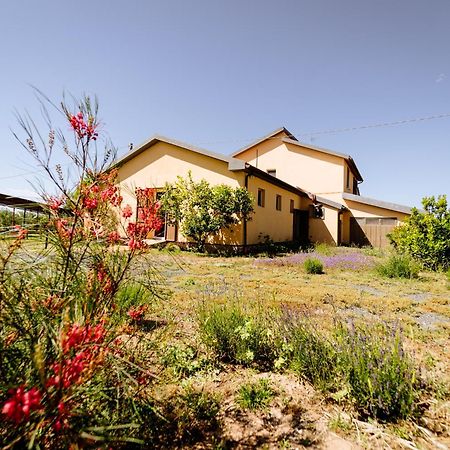 Agriturismo Bio Podere 109 - Wine&Food Alberese Kültér fotó