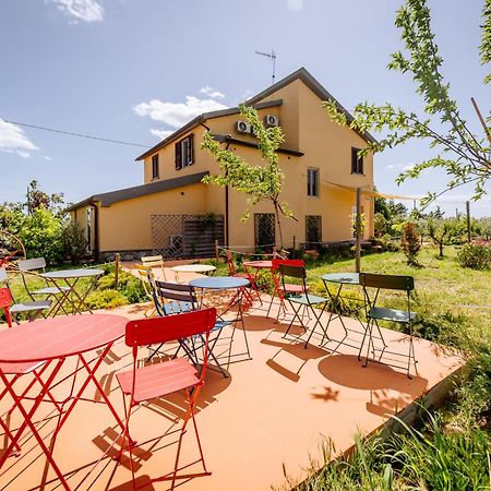 Agriturismo Bio Podere 109 - Wine&Food Alberese Kültér fotó