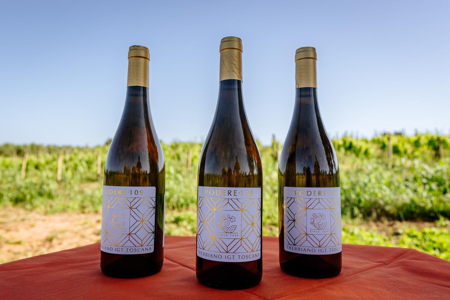 Agriturismo Bio Podere 109 - Wine&Food Alberese Kültér fotó
