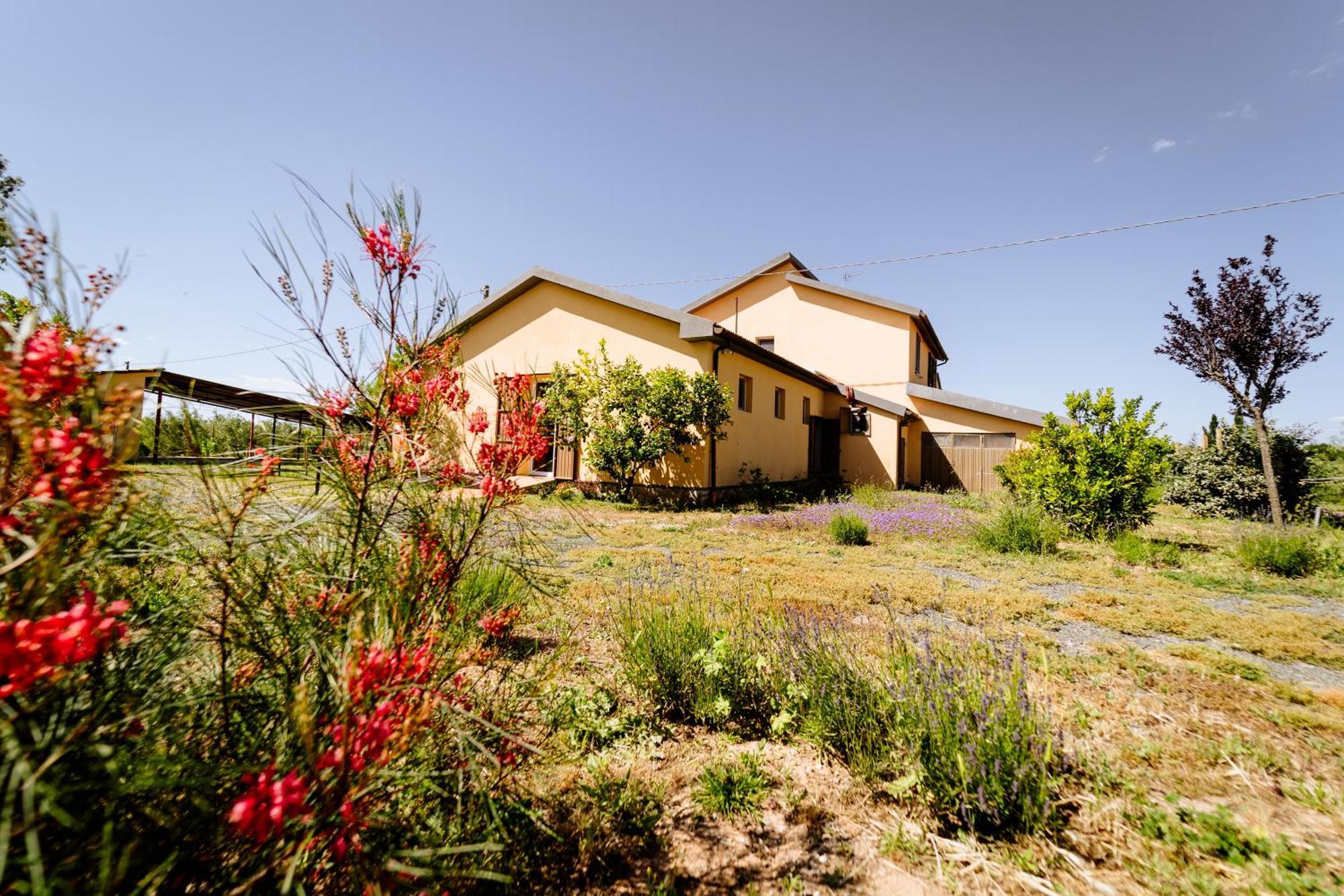 Agriturismo Bio Podere 109 - Wine&Food Alberese Kültér fotó